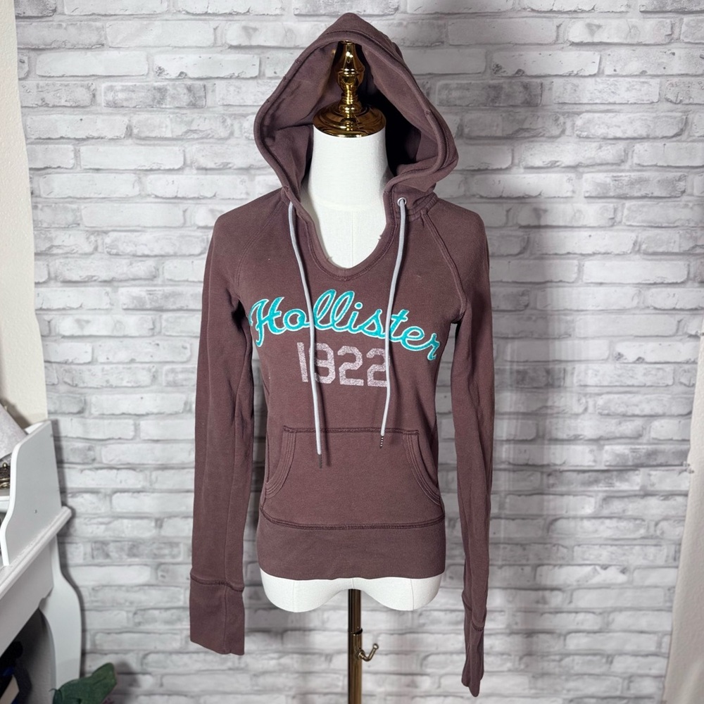 Hollister Y2K Brown and Teal Hoodie Sweater